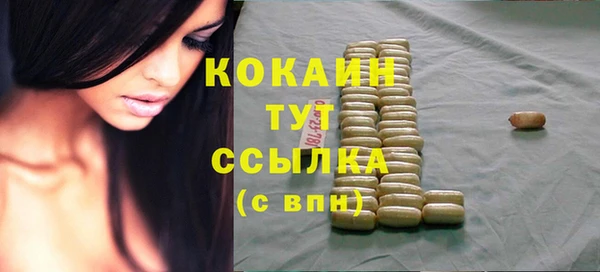 хмурый Горняк