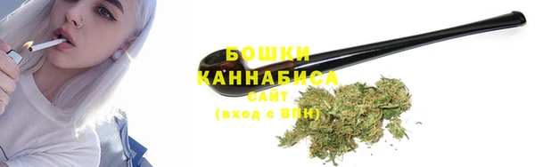 Альфа ПВП Гусев