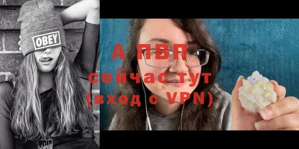 Альфа ПВП Гусев